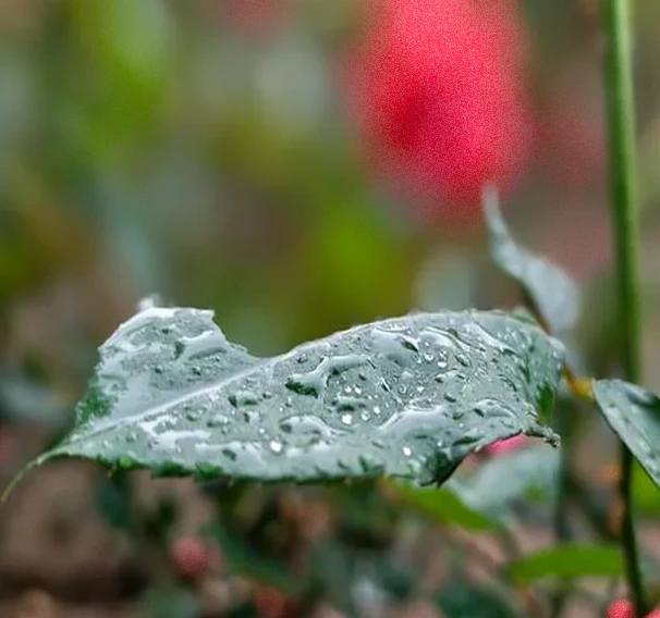 30条高能正能量励志语录：驱散焦虑，向阳而生